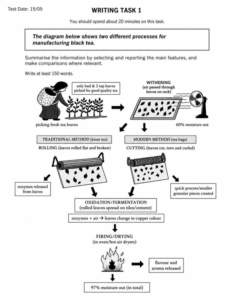 IELTS Writing Task 1: The diagram below shows two different processes for manufacturing black tea.<br><span style="display: inline-block; padding-top: 8px; color: #d32f2f; font-size: 13px; font-weight: bold;">Lượt làm bài: 14</span>