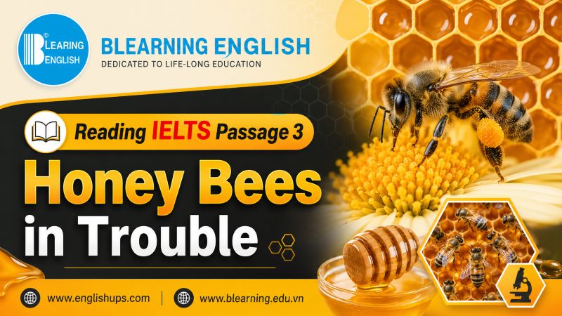 Reading IELTS Passage 3: Honey Bees in Trouble<br><span style="display: inline-block; padding-top: 8px; color: #d32f2f; font-size: 13px; font-weight: bold;">Lượt làm bài: 41</span>
