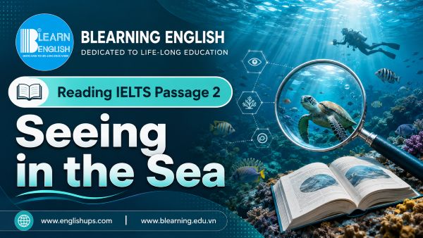 Reading IELTS Passage 2: Seeing in the Sea<br><span style="display: inline-block; padding-top: 8px; color: #d32f2f; font-size: 13px; font-weight: bold;">Lượt làm bài: 7</span>