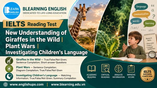 IELTS Reading Test 62<br><span style="display: inline-block; padding-top: 8px; color: #d32f2f; font-size: 13px; font-weight: bold;">Lượt làm bài: 163</span>