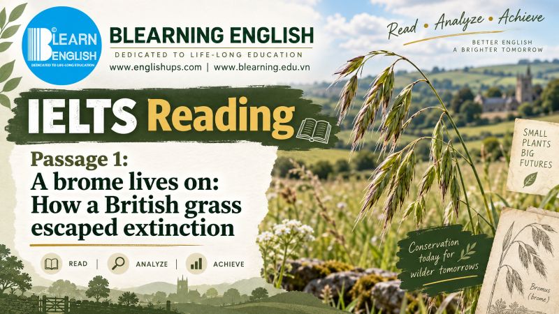 IELTS Reading Passage 1: A brome lives on: How a British grass escaped extinction<br><span style="display: inline-block; padding-top: 8px; color: #d32f2f; font-size: 13px; font-weight: bold;">Lượt làm bài: 36</span>