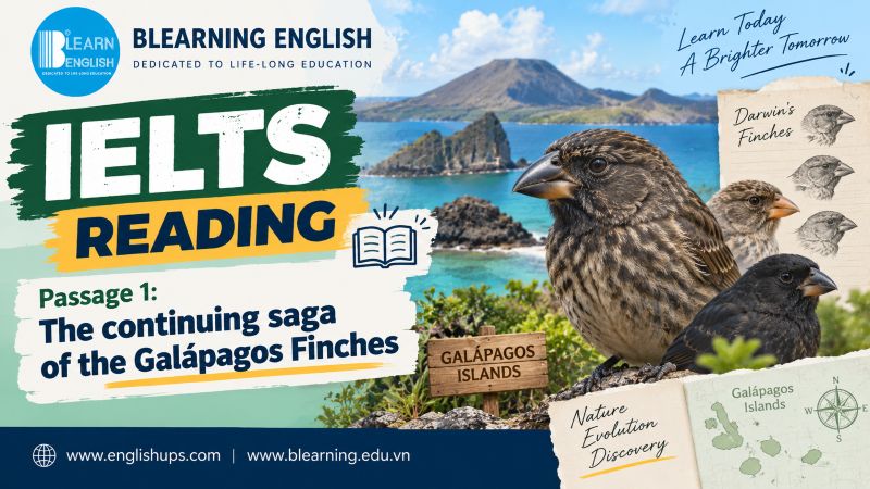 IELTS Reading Passage 1: The continuing saga of the Galápagos Finches<br><span style="display: inline-block; padding-top: 8px; color: #d32f2f; font-size: 13px; font-weight: bold;">Lượt làm bài: 46</span>