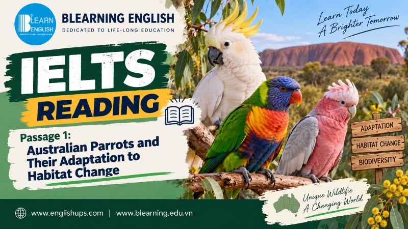 IELTS Reading Passage 1: Australian Parrots and Their Adaptation to Habitat Change<br><span style="display: inline-block; padding-top: 8px; color: #d32f2f; font-size: 13px; font-weight: bold;">Lượt làm bài: 58</span>